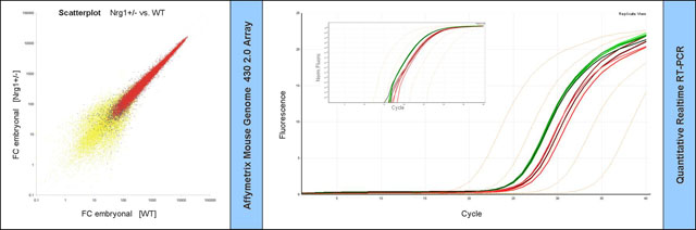 Scatterplot + PCR